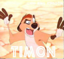 charactertimon.jpg