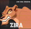 characterzira.jpg